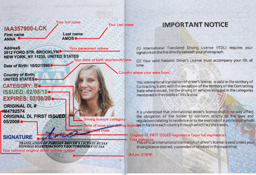 Aaa International Drivers License
